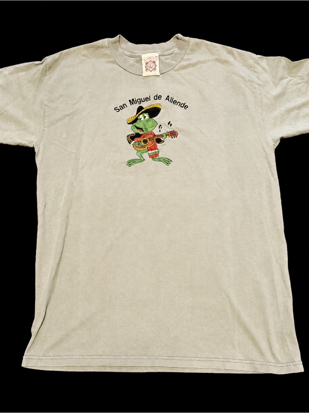 Vintage San Miguel de Allende Mexico Frog Graphic Tee | Large